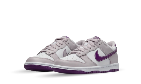Nike Dunk Low Platinum Violet Viotech (GS) FB9109-104