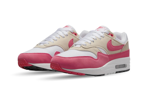 Nike Air Max 1 Aster Pink (W) DZ2628-110
