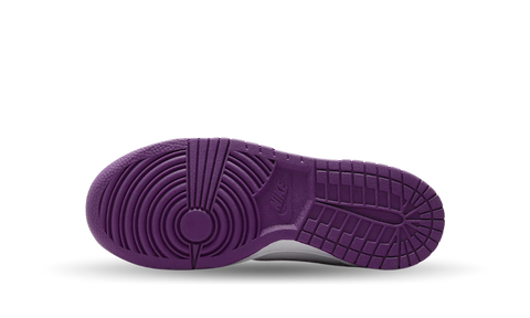 Nike Dunk Low Platinum Violet Viotech (GS) FB9109-104