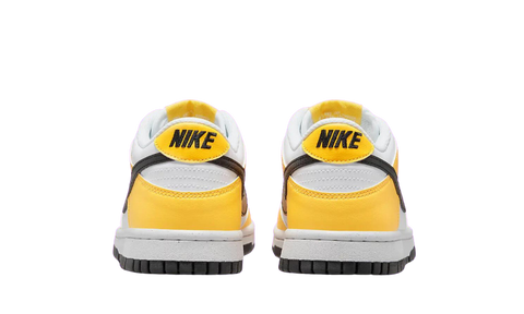 Nike Dunk Low Next Nature Citron Pulse (GS) FN3807-800