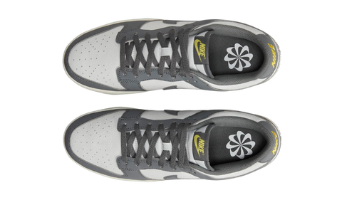 Nike Dunk Low Next Nature Iron Grey FZ4621-001