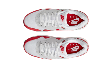 Nike Air Max 1 Sport Red (GS) DZ3307-003